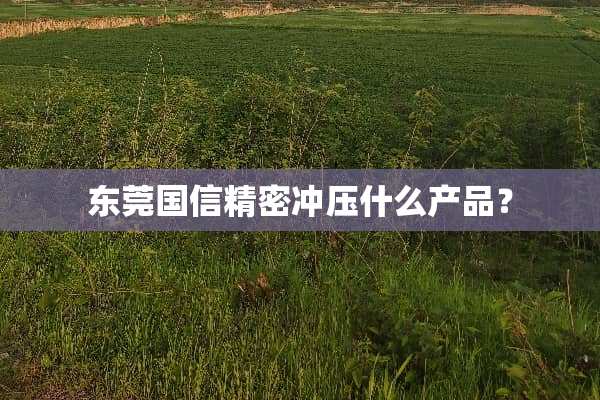 东莞国信精密冲压什么产品？