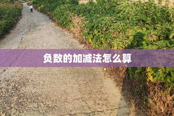 负数的加减法怎么算