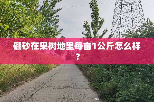 硼砂在果树地里每亩1公斤怎么样？
