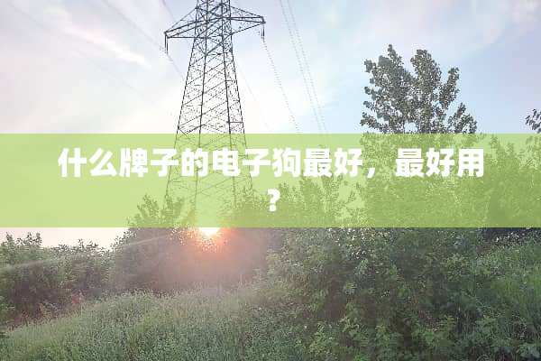 什么牌子的***最好，最好用？