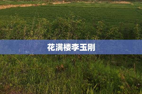 花满楼李玉刚