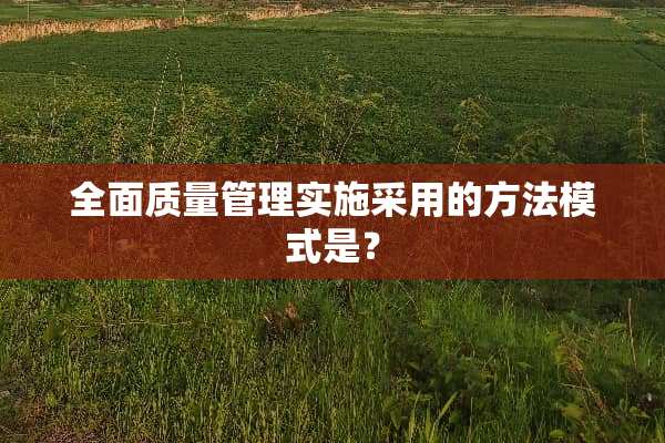 全面质量管理实施采用的方法模式是？