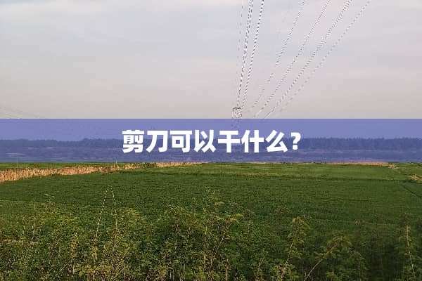 剪刀可以干什么？
