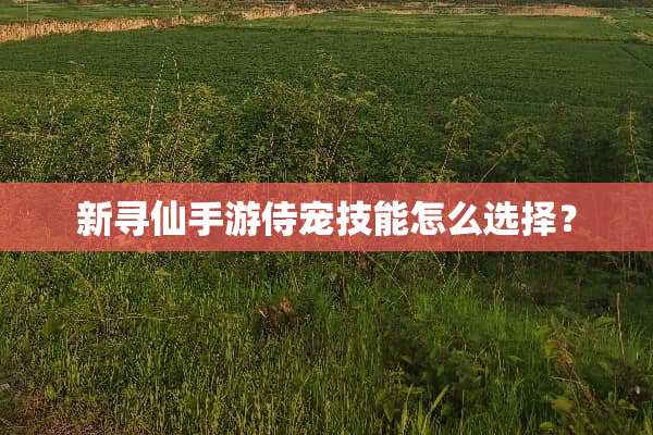 新寻仙手游侍宠技能怎么选择？