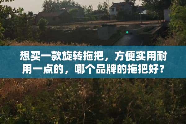 想买一款旋转拖把，方便实用耐用一点的，哪个品牌的拖把好？