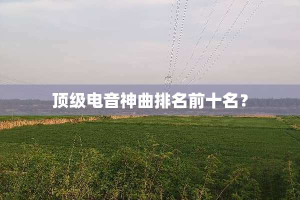 **电音神曲排名前十名？