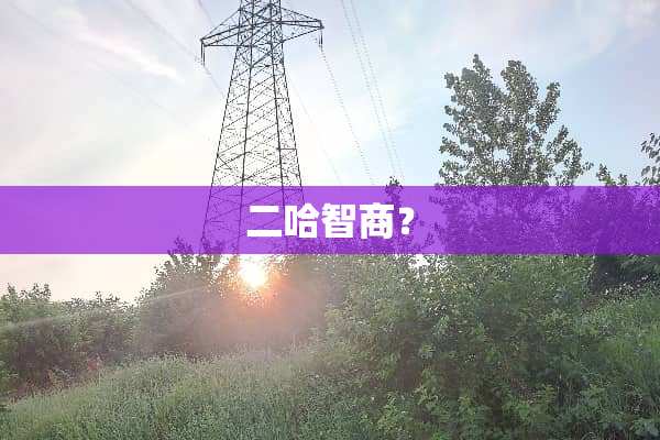 二哈智商？