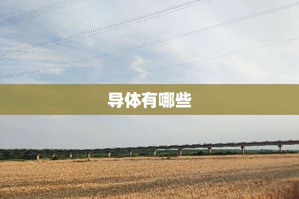 导体有哪些
