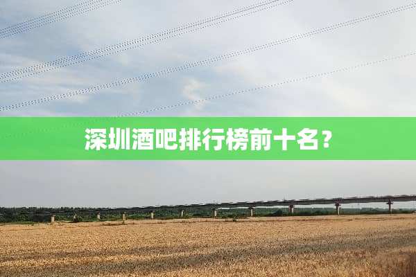 深圳酒吧排行榜前十名？