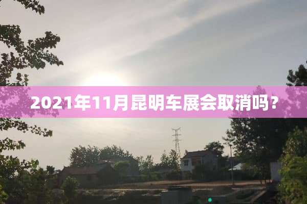 2021年11月昆明车展会取消吗？