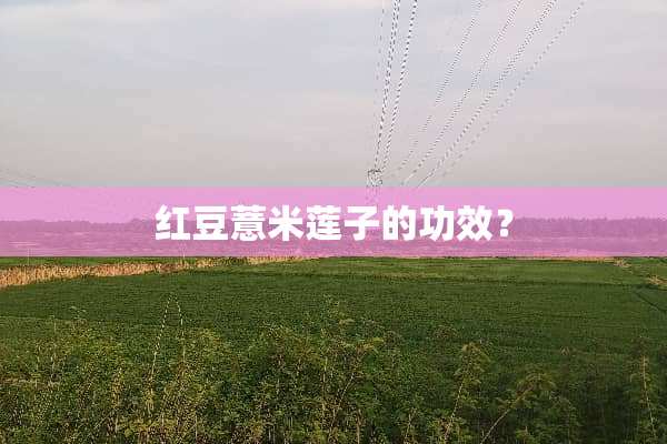 红豆薏米莲子的功效？