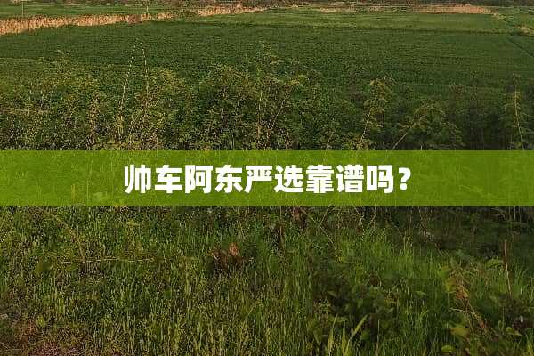 帅车阿东严选靠谱吗？