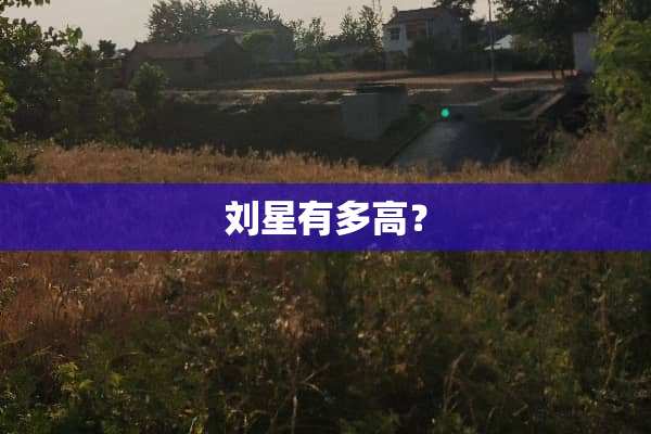 刘星有多高？