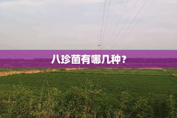 八珍菌有哪几种？