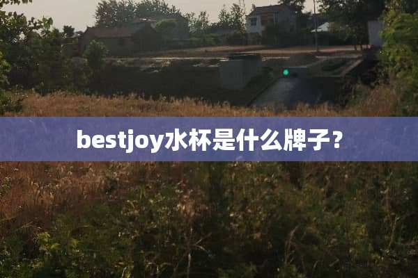 bestjoy水杯是什么牌子？