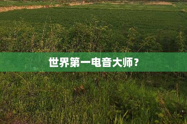 世界第一电音大师？