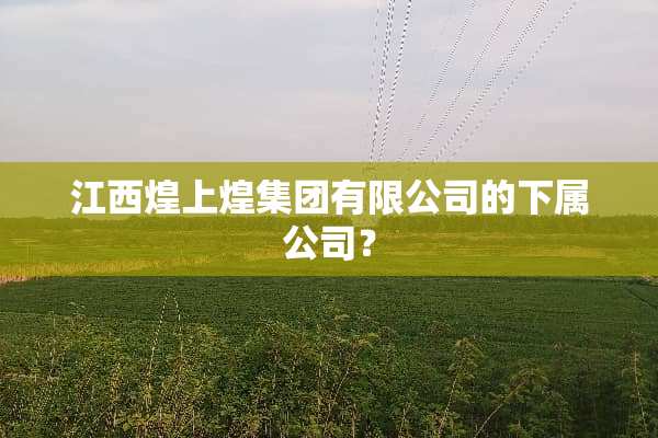 江西煌上煌集团有限公司的下属公司？