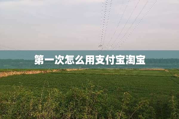 第一次怎么用支付宝淘宝