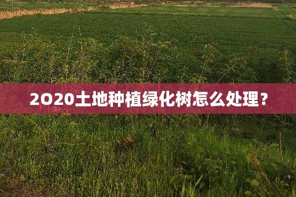 2O20土地种植绿化树怎么处理？