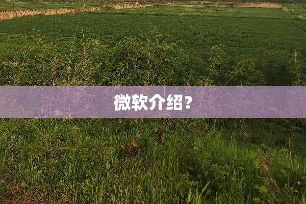 微软介绍？