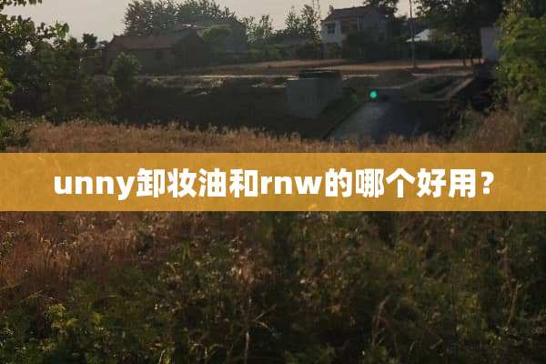 unny卸妆油和rnw的哪个好用？