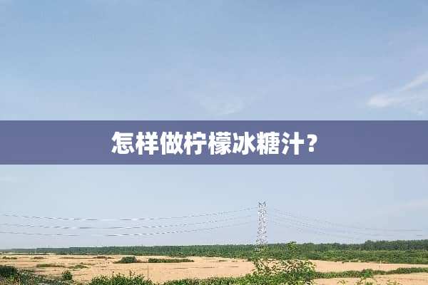 怎样做柠檬冰糖汁？