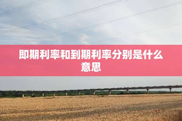 即期利率和到期利率分别是什么意思
