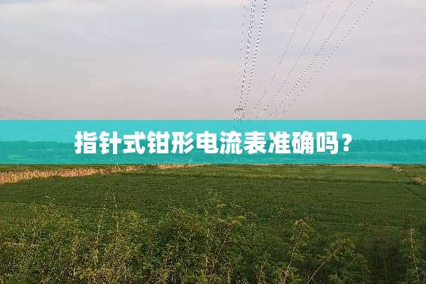 指针式钳形电流表准确吗？