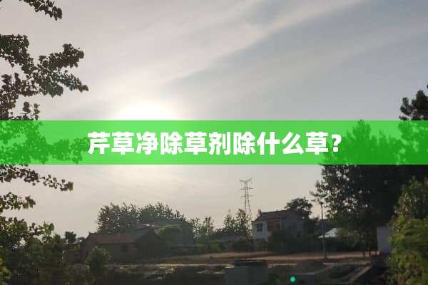 芹草净除草剂除什么草？