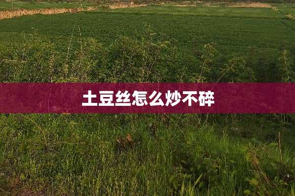 土豆丝怎么炒不碎