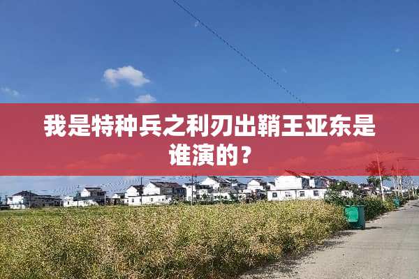 我是特种兵之利刃出鞘王亚东是谁演的？
