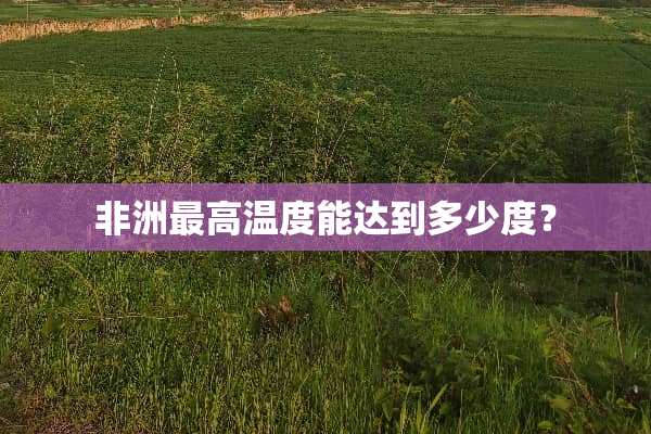 非洲最高温度能达到多少度？