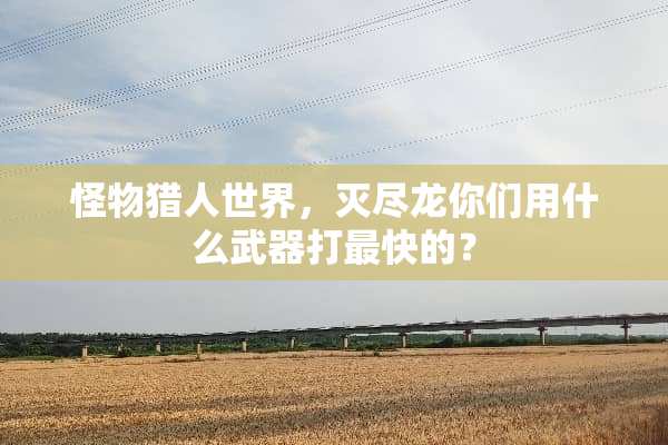 怪物猎人世界，灭尽龙你们用什么**打最快的？