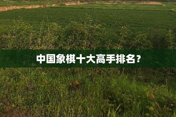 中国象棋十大高手排名？