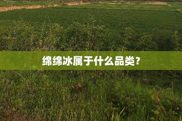 绵绵冰属于什么品类？