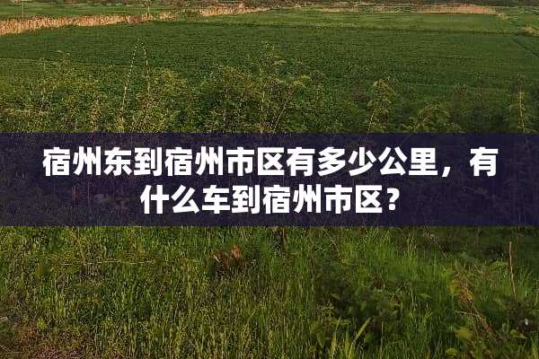 宿州东到宿州市区有多少公里，有什么车到宿州市区？