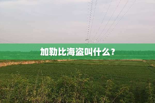 加勒比海盗叫什么？