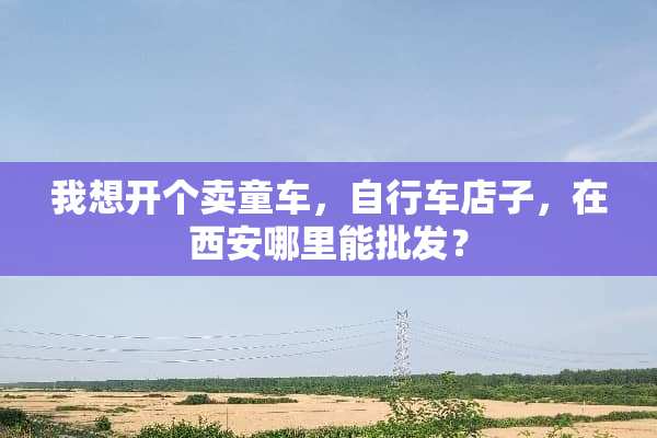 我想开个卖童车，自行车店子，在西安哪里能批发？