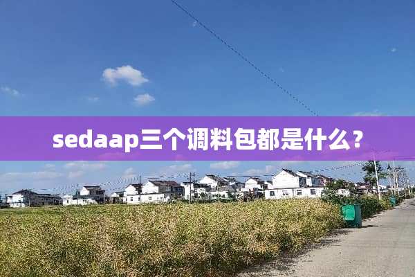 sedaap三个调料包都是什么？
