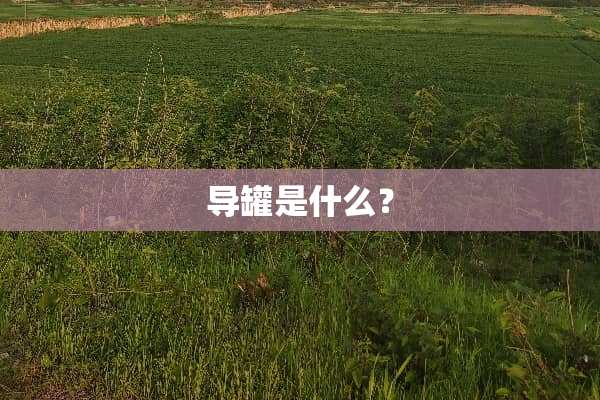 导罐是什么？