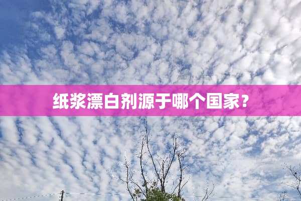 纸浆漂白剂源于哪个国家？