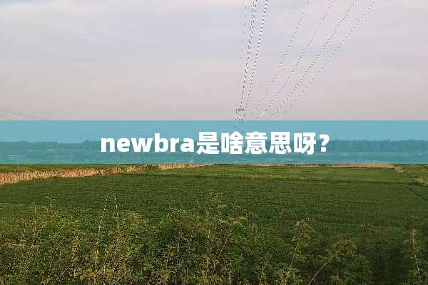 newbra是啥意思呀？