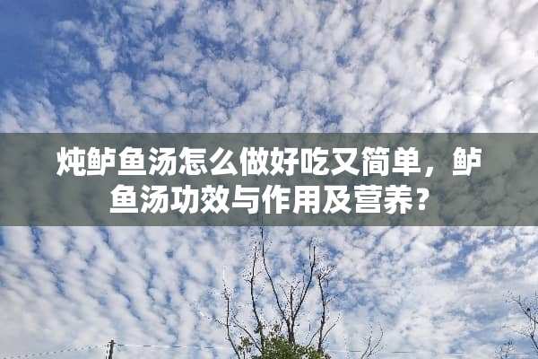 炖鲈鱼汤怎么做好吃又简单，鲈鱼汤功效与作用及营养？