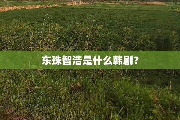 东珠智浩是什么韩剧？