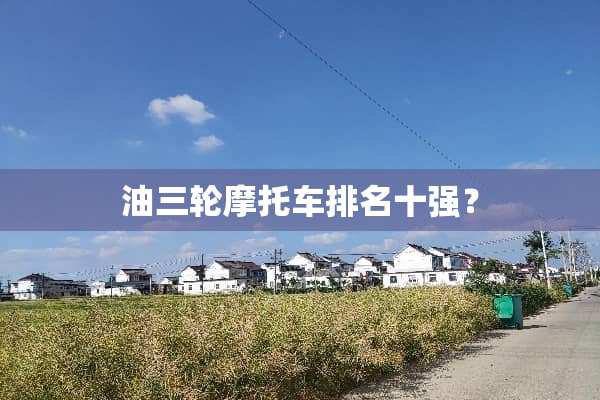 油三轮摩托车排名十强？