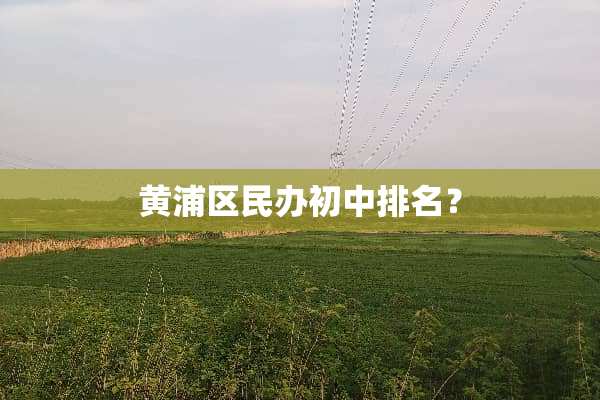 黄浦区民办初中排名？