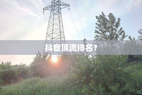 抖音顶流排名？