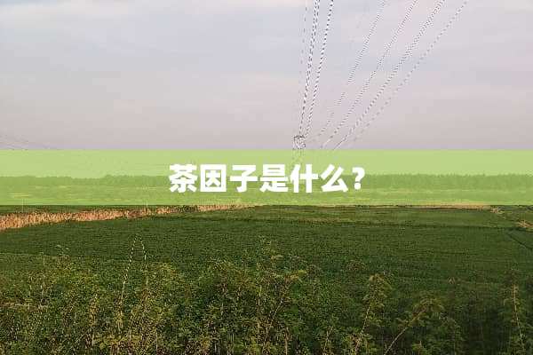 茶因子是什么？