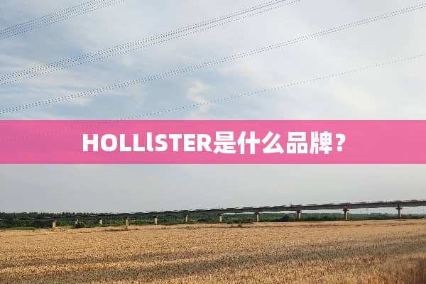 HOLLlSTER是什么品牌？