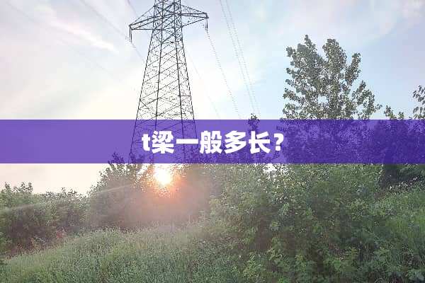 t梁一般多长？